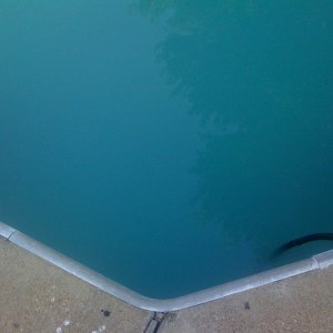 pool 6.14.11.jpg