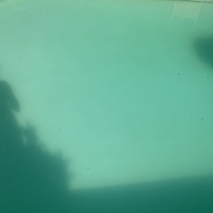 pool water.jpg