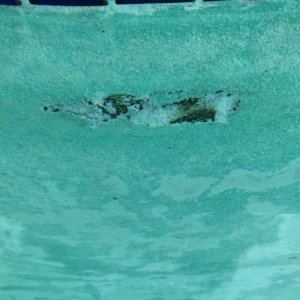 IMG-4272.jpg