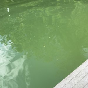 B304C5FC-F4B5-476D-83C7-F343B9EA1D50.jpeg