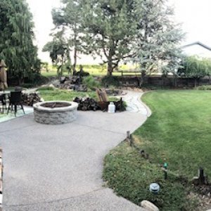 yard.JPG
