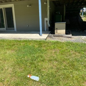 pool view.jpg