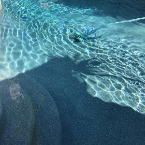 pool.jpg