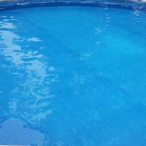 pool water 1.JPG