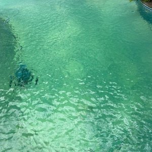 Pool3.jpg