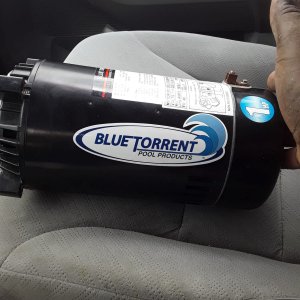 Blue Torrent Pump Whatsapp Image 2020-07-05 at 09.56.05.jpeg
