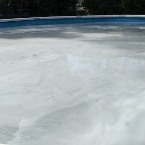IMG_20200712_163932.jpg