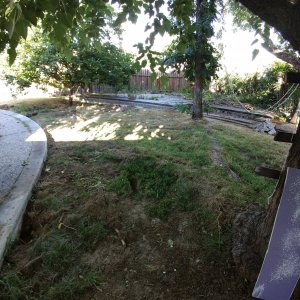Backyard.jpg