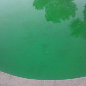 Pool-2-web.jpg