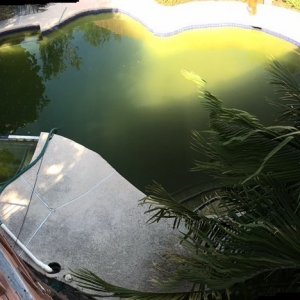 1 Green Pool.JPG