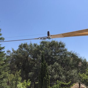 bird_wire_1.jpg