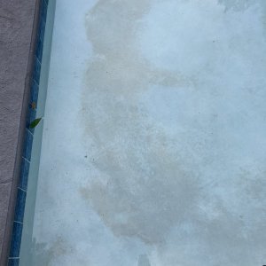 DF9521E3-0F57-420F-81E6-C8E154771408.jpeg