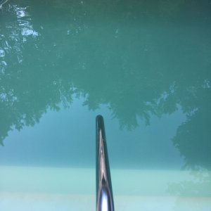 8:18 pool.JPG