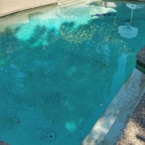 Pool Angle View.jpg