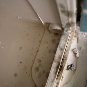 right side.jpg