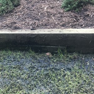 50773C32-C251-4F5E-AD55-31C65803C686.jpeg