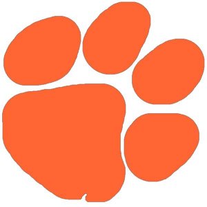 tiger paw.jpg