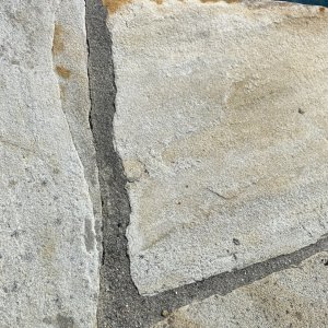 91170D00-4882-4B31-8DA8-588B314281B6.jpeg