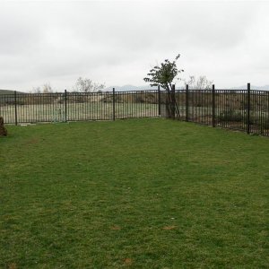 Fence (Large).JPG