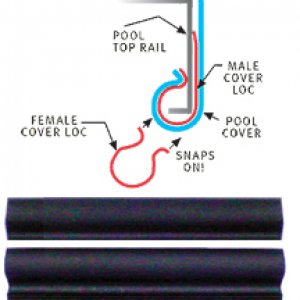 594100.jpg