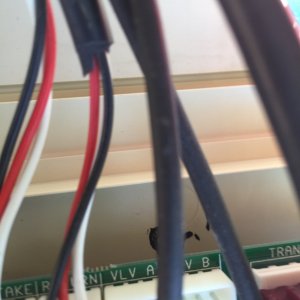 85A1EB83-AA4C-4E8E-BA48-8CB9D757B530.jpeg