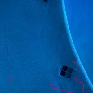 2020-11-08_PoolDeepBenchNodules2.jpg
