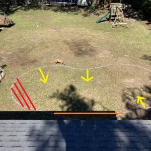 layout3.jpg