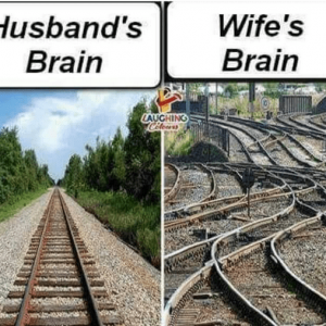 husband_vs_wife.PNG