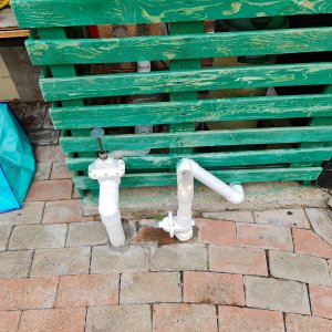 20201230_065238.jpg