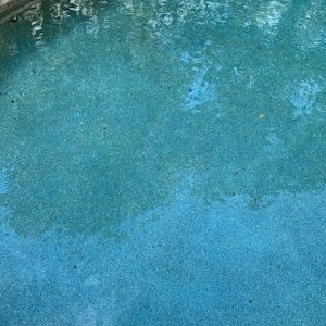 IMG_1710.jpg