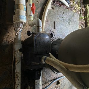 IMG_0136.jpeg