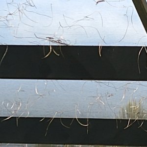 straw2.jpg