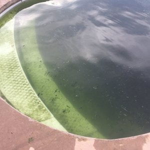 B4DF904A-F43B-4F66-AD2D-068DBACF3B9C.jpeg