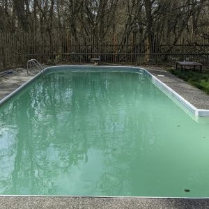 green pool.JPG