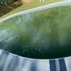 0822D491-D793-4621-8D05-B58C3139E835.jpeg