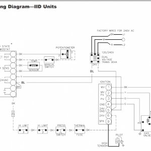 Raypak Versa 55B Heater Wiring Diagram.jpg