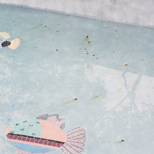 pool1.jpg