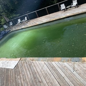63D066AD-7DA3-47B9-A521-D95444D35022.jpeg