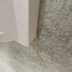 rustStainsFromSkimmer.jpg