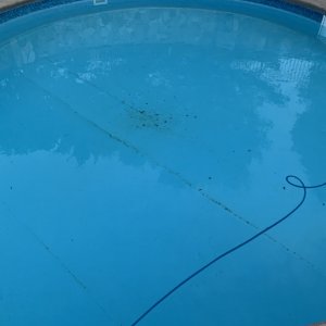 Shallow end debris.jpeg