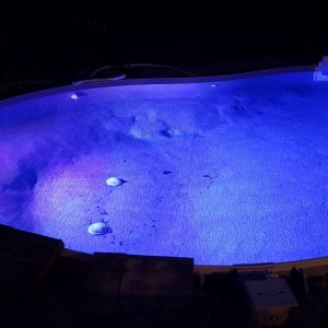 moonscape pool 1.jpg