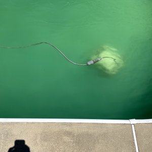 GreenPool3.jpg