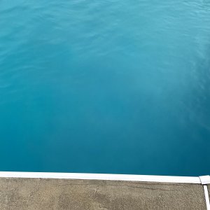 BluePool.jpg
