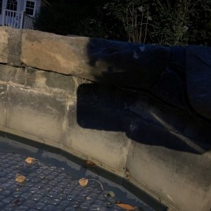 Pool crack.jpg