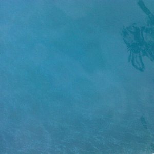 pool 4.16.12.2.jpg