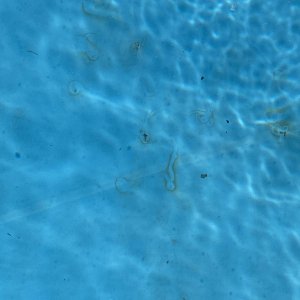 unnamed (1).jpg