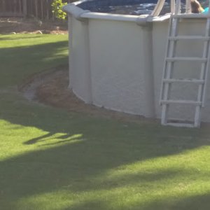 New pool 2.jpg