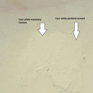Type S Masonary cement is whiter.jpg