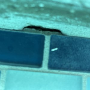 35397916-DCD4-4A6B-838F-5FB05831307A.jpeg