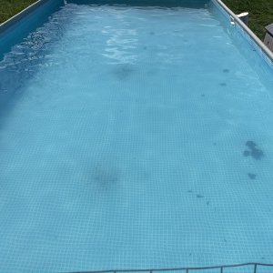 69C32880-AB77-4639-8B40-CB3480369529.jpeg